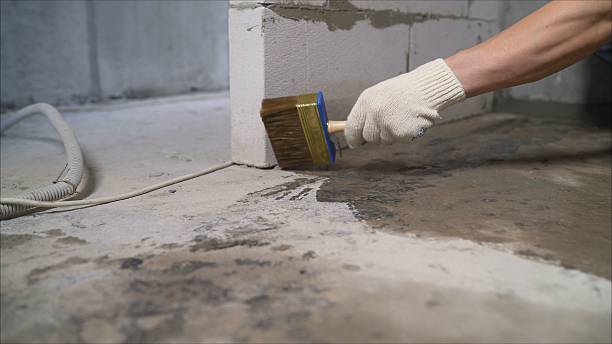 24/7 Emergency Crawl Space Encapsulation experts in Mount Carmel, IL